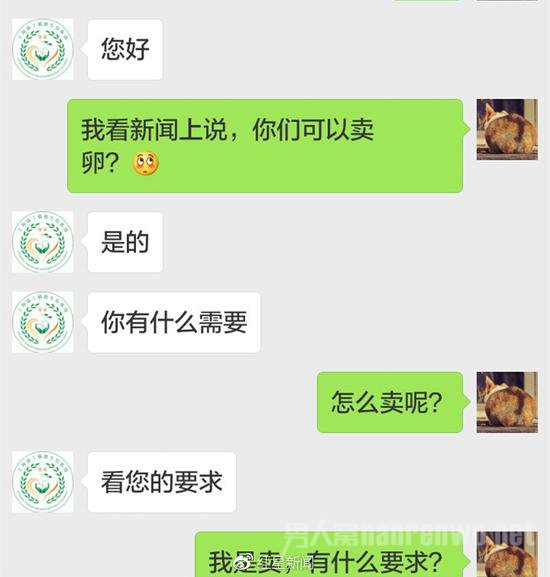 揭秘卵子黑中介