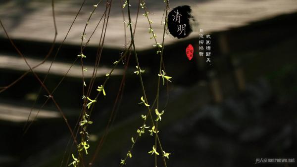 清明节古诗