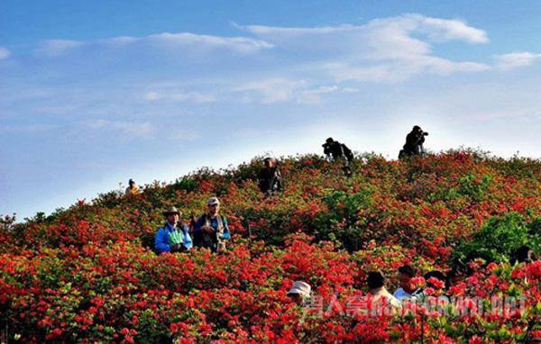 五一旅游