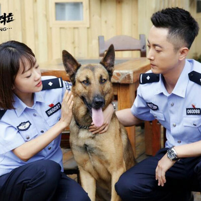 警犬来啦