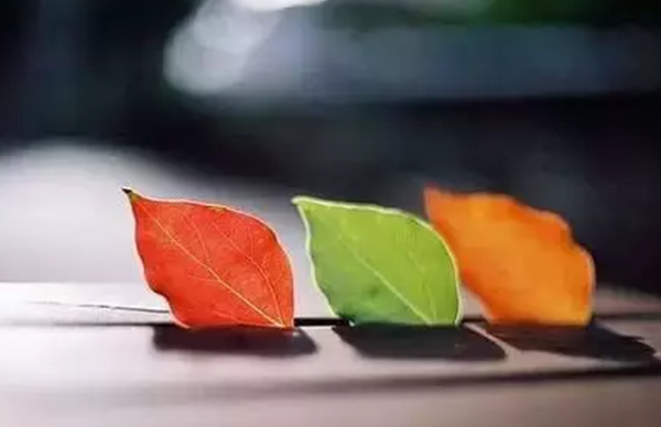  相亲时候聊些什么成功  好像真是那么回事
