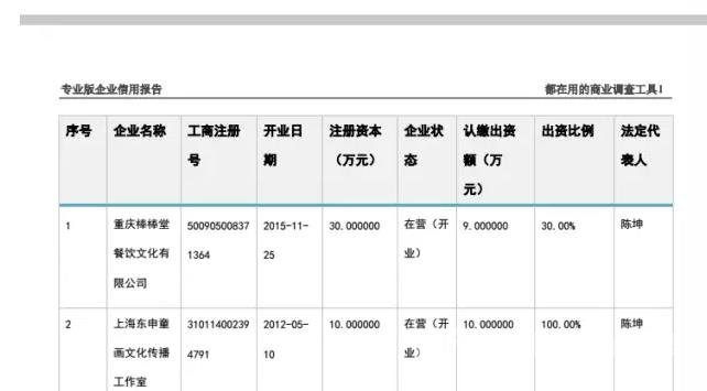 陈坤投资的部分公司