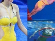 周韦彤跳水秀泳衣脱落秀胸 女神周韦彤泳衣脱落疑似走光