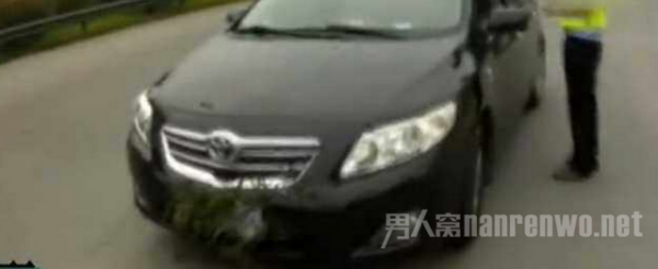 女司机用草遮挡车牌