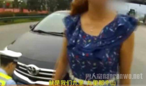 女司机用草遮挡车牌