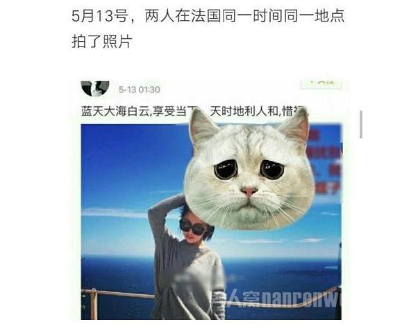 王雨馨微博
