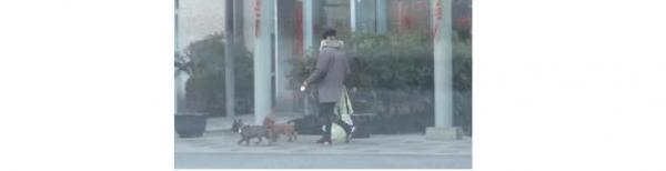 黄景瑜恋情
