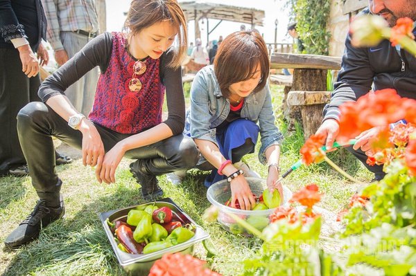 花少2宁静陈意涵