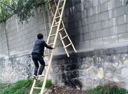 翻墙进动物园