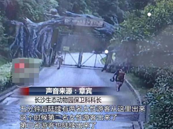惊险一幕
