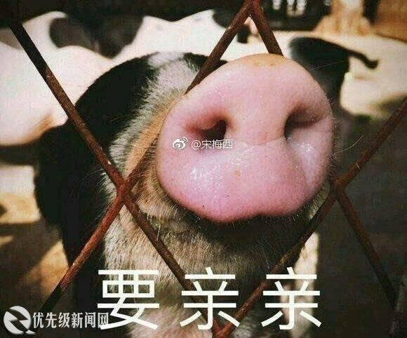 李荣浩撒糖，张一山霸气护白雪，圈内神秘低调的情侣到底有多相爱？