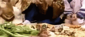 难怪古装剧里大口喝酒却不吃菜，论电视剧道具食物，只服白鹿原！