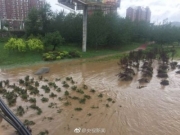 辽宁岫岩暴雨现场图片：人员被困 多个村庄失联