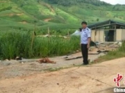 云南勐海县发生野象伤人事件 一对母子身亡(图)