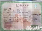 吴京儿子国籍曝光 吴京儿子吴所谓是中国国国籍吗