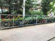 北京市朝阳区300辆废旧自行车变身“艺术护栏”(图)