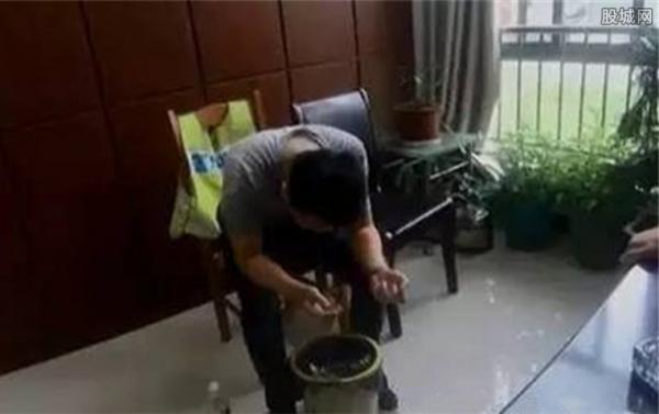 为躲避交警掉进粪坑