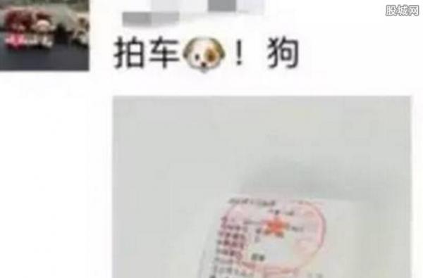 女子违停被贴罚单