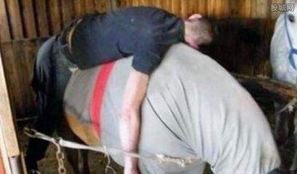 男子与驴