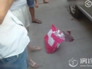 司机驾车压死贵宾犬 狗主人:不讹诈你 向狗道歉 开车撞死狗驾驶员该不该赔？