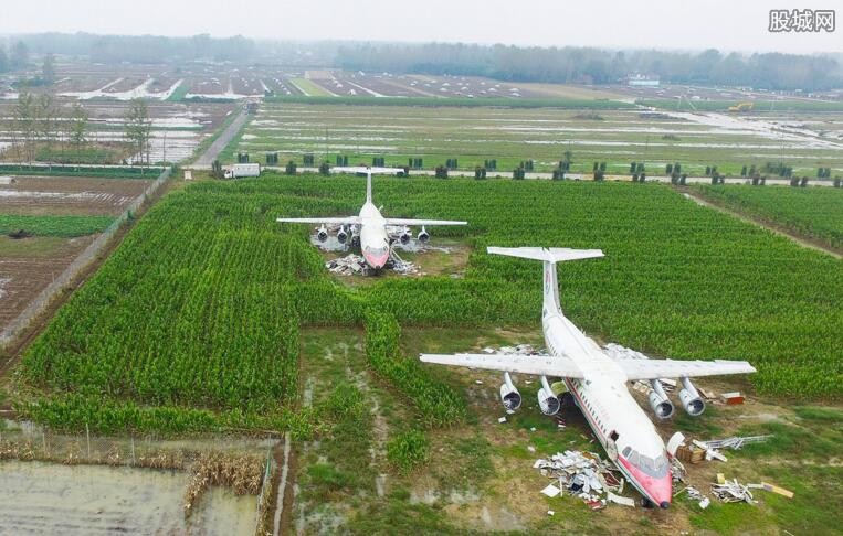 土豪800万买两架飞机