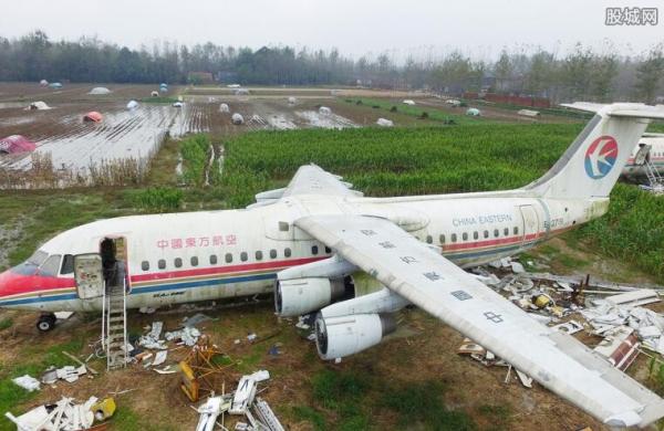 土豪800万买两架飞机