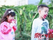 爸爸去哪儿第五季neinei不要吴尊max痛哭 小泡芙变身小吃货