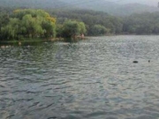 男子暴雨中下湖野泳溺亡 警方搜救时仍有人下水
