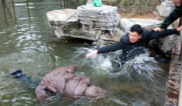 两新市民救落水老人