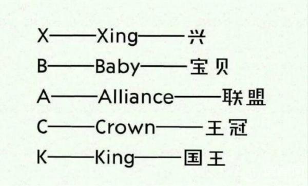 小绵羊脖子上写的Xback