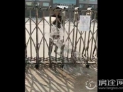 蓝翔技校回应泼水拒快递 官方竟这样谈1元代收费