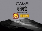 薛之谦新歌骆驼歌词有什么含义