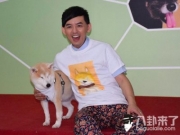 黄子佼收集爱犬毛制成抱枕：这是我对它永远的纪念