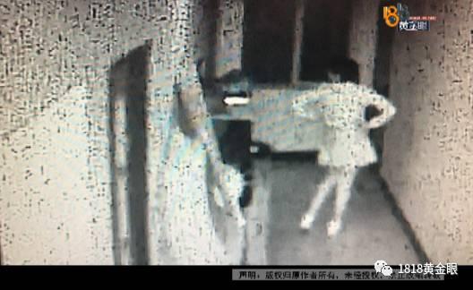 姑娘倒追男子凌晨去对方家 未见到人报假警被警方刑事拘留