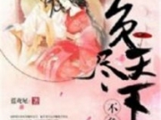 负尽天下不负卿叶浅兮凌风玄小说免费阅读完整版 负尽天下不负卿全章节目录