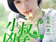 小叔凶猛作者北水免费阅读 小叔凶猛安圆圆全集