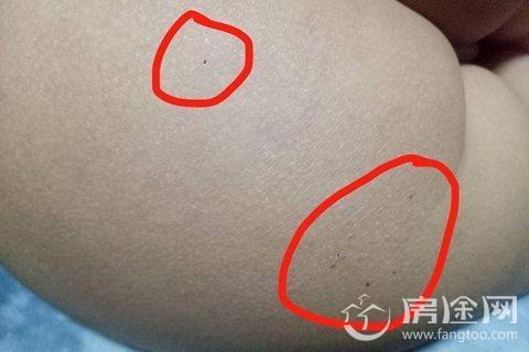 起底红黄蓝幼儿园虐童事件如何回应 红黄蓝幼儿园家长曝三个孩子曾被光屁股罚站