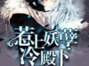 惹上妖孽冷殿下小说全文阅读 惹上妖孽冷殿下全集在线