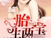好孕鲜妻一胎生两宝给力文学 叶佳陆晔全文免费阅读