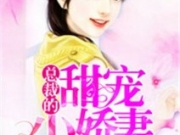 总裁的甜宠小娇妻全文阅读 总裁的甜宠小娇妻在线阅读