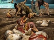 新疆发现翼龙化石上百枚翼龙胚胎