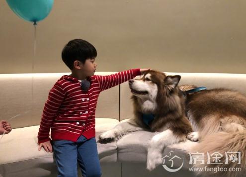 安吉与王思聪爱犬亲密互动 网友:王可可真是狗生赢家