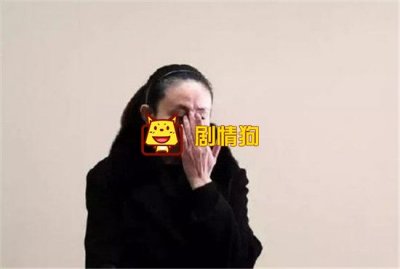 江歌陈世峰案件日本开庭 开庭会有直播吗