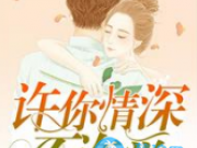 许你情深不许爱林眠顾渊深小说 许你情深不许爱林眠顾渊深TXT百度云