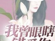 我曾眼瞎错爱你童晓免费阅读全文 童晓莫盛天小说最新章节