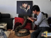 男子与蛇同居10年，在家中喂养了20多条蟒蛇！