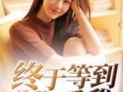 终于等到你爱我顾佳音陆之南小说最新章节试读