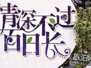 情深不过百日长小说 情深不过百日长苏洛沈亦寒TXT百度云