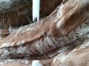 姐妹赏冰挂出意外致1死1伤 事发地著名赵家洞石窟