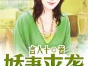 娇妻来袭蓝雁翎叶辰全文在线阅读 蓝雁翎叶辰小说结局是什么？